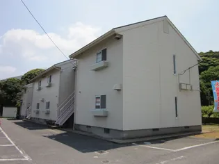 コットンハイム【1階】の外観