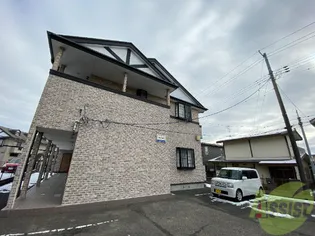 ラックステラの画像