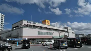 レオネクスト美津【1階】の周辺