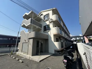 ブランベール有瀬の画像