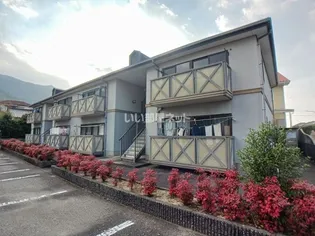 グランヒル中村の画像