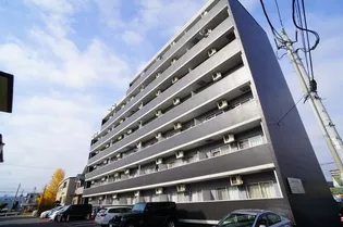 マエストーゾ フィガーの画像