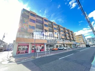 サンシャインビル北棟【3階】の外観