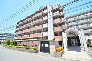 スヴニールの画像