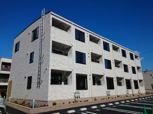 アナベルの画像