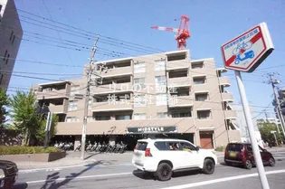 クレールの画像