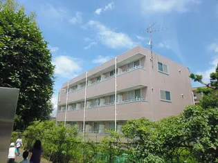 神奈川県川崎市麻生区千代ケ丘1【マンション】の外観