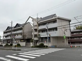 グレイス奥山の画像