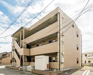 アンプルール フェール リズの画像