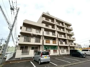 STELLA GARDEN水戸白梅の画像