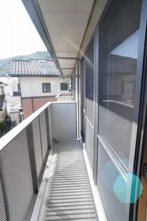 アクティオの画像