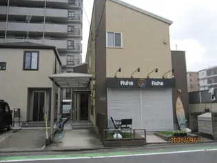 ベルリードウメノの画像