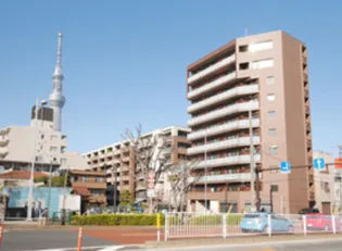 東京都墨田区太平1【マンション】の外観