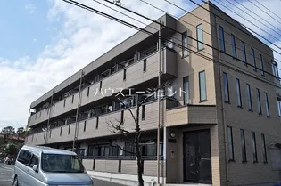 サンマルゴの画像