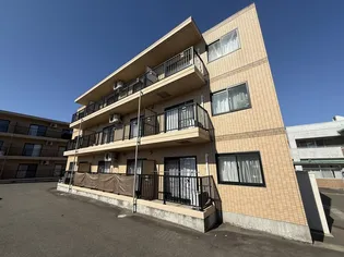 フェリチタ愛子IIの画像