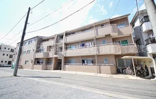 シャローリバーの画像