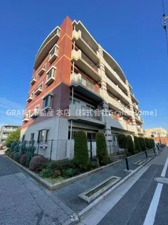 ルネ シェスタの画像