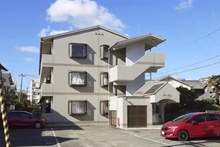 フロントフィールドの画像