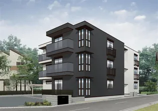 グリシナ白子の画像