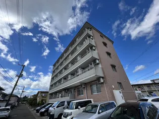 サンライト 12の画像