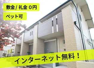 チェリーブロッサム ヨシノの画像