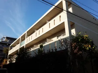 クロスアイヴィの画像