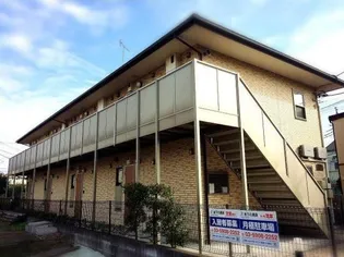 アムールマレの画像