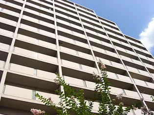 グランドール武戸野の画像