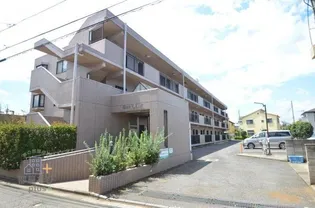 サンプレイスの画像