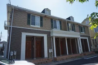 プリムローズの画像