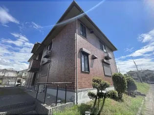 シャンテかしの木の画像