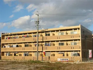 サニーブローテ住吉I IIの画像