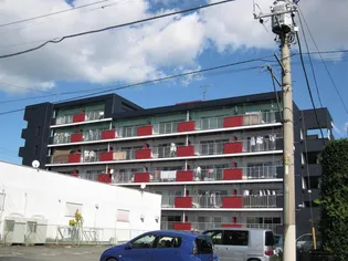 高崎ヴィレッヂの画像