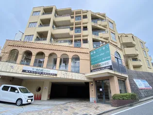 ワコーレヴィータ五色山の画像