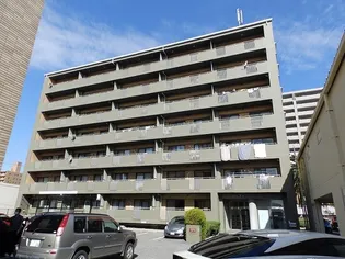 フォレストワイズの画像