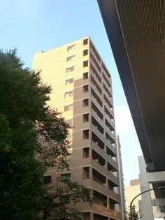 ソリッド大橋【7階】の外観