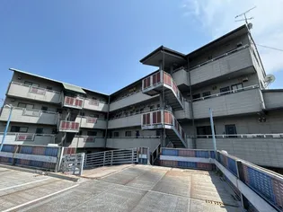 SINAJYURIME GREENの画像