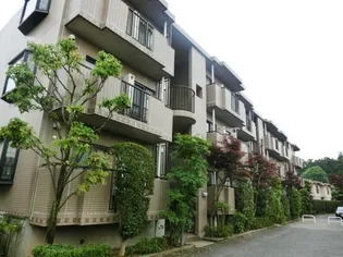 ドルフヤマノウチAの画像