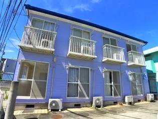 T Y Sパープルの画像