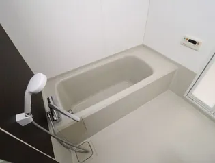 ロイヤルプレイス010【4階】の風呂