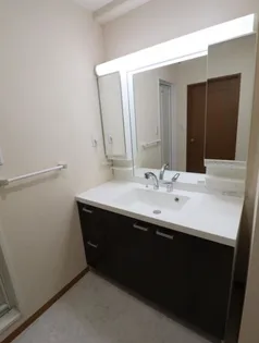 ロイヤルプレイス010【4階】の内装