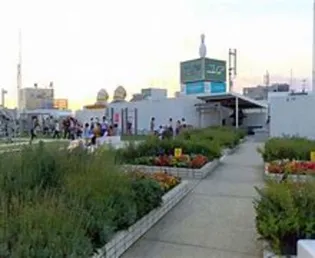 アイビーコート【2階】の周辺