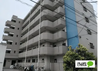 セボールの画像