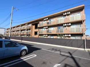 モアルヤタ藤の画像