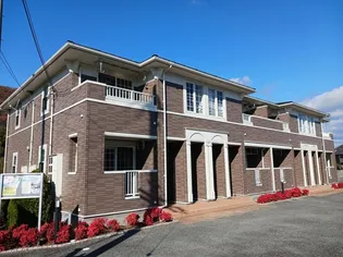 アルト ウンド ユングの画像