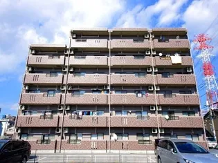 Y&M TAKAHASHI Iの画像