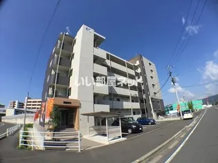 YS SPAZIOの画像