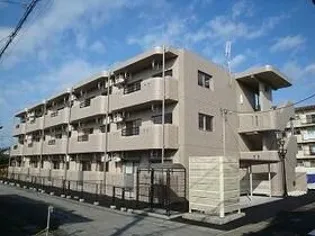 Y&Mスターの画像