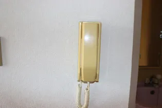 カモミール【1階】の内装