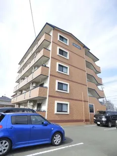 オーナメントの画像